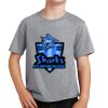 Youth Fan Favorite Tee Thumbnail